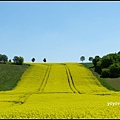 德國 圖林根 田園景色 Thüringen, Germany