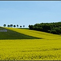 德國 圖林根 田園景色 Thüringen, Germany