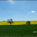 德國 圖林根 田園景色 Thüringen, Germany