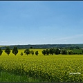 德國 圖林根 田園景色 Thüringen, Germany