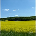 德國 圖林根 田園景色 Thüringen, Germany