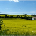 德國 圖林根 田園景色 Thüringen, Germany