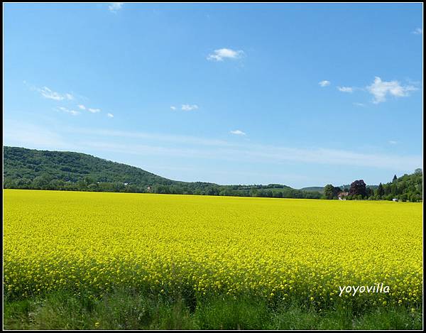 德國 圖林根 田園景色 Thüringen, Germany