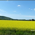 德國 圖林根 田園景色 Thüringen, Germany