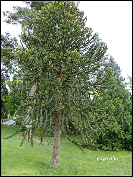 德國 卡爾斯魯爾 Karlsruhe, Germany