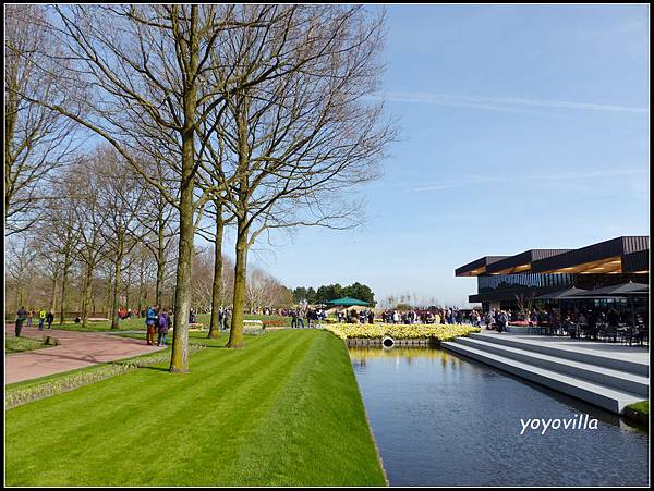 荷蘭 鬱金香花園 庫肯霍夫 Keukenhof, Netherlands