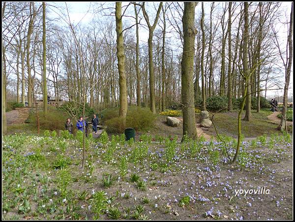 荷蘭 鬱金香花園 庫肯霍夫 Keukenhof, Netherlands