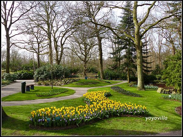 荷蘭 鬱金香花園 庫肯霍夫 Keukenhof, Netherlands