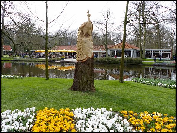荷蘭 鬱金香花園 庫肯霍夫 Keukenhof, Netherlands 