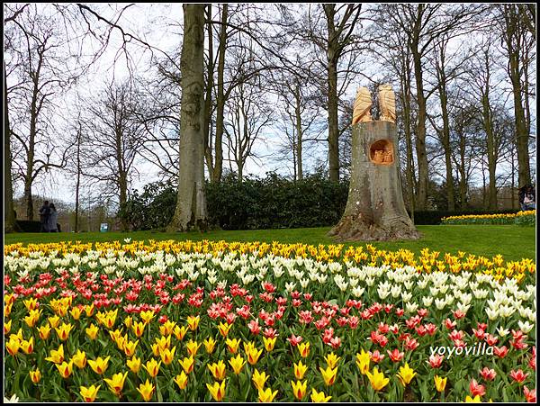 荷蘭 鬱金香花園 庫肯霍夫 Keukenhof, Netherlands 