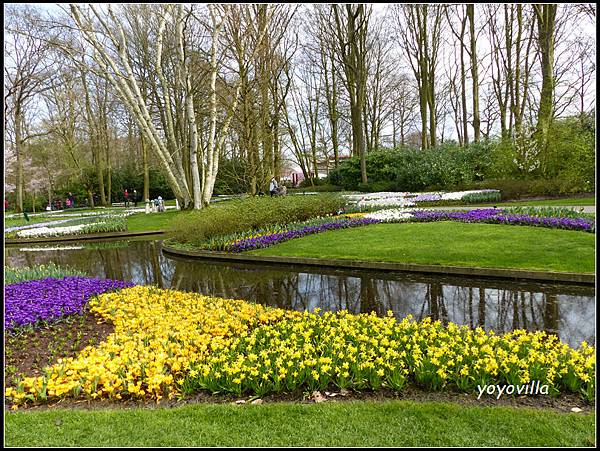 荷蘭 鬱金香花園 庫肯霍夫 Keukenhof, Netherlands 