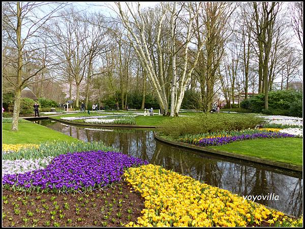 荷蘭 鬱金香花園 庫肯霍夫 Keukenhof, Netherlands 