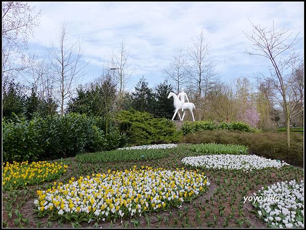 荷蘭 鬱金香花園 庫肯霍夫 Keukenhof, Netherlands 