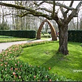 荷蘭 鬱金香花園 庫肯霍夫 Keukenhof, Netherlands 