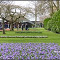 荷蘭 鬱金香花園 庫肯霍夫 Keukenhof, Netherlands 