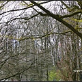 荷蘭 鬱金香花園 庫肯霍夫 Keukenhof, Netherlands 