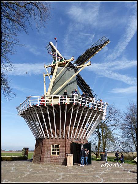 荷蘭 鬱金香花園 庫肯霍夫 Keukenhof, Netherlands 