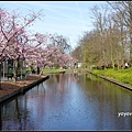 荷蘭 鬱金香花園 庫肯霍夫 Keukenhof, Netherlands 