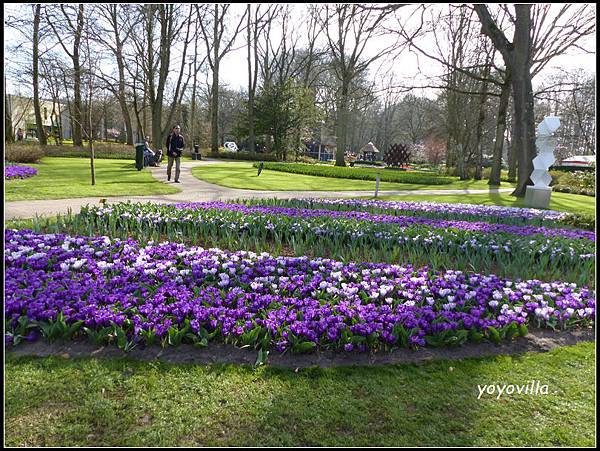 荷蘭 鬱金香花園 庫肯霍夫 Keukenhof, Netherlands 
