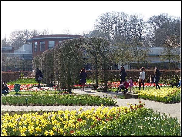 荷蘭 鬱金香花園 庫肯霍夫 Keukenhof, Netherlands 