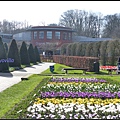 荷蘭 鬱金香花園 庫肯霍夫 Keukenhof, Netherlands 