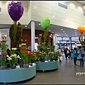 荷蘭 鬱金香花園 庫肯霍夫 Keukenhof, Netherlands 