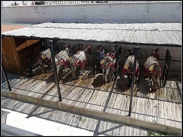 西班牙 米哈斯 Mijas, Spain 