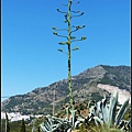 西班牙 米哈斯 Mijas, Spain 