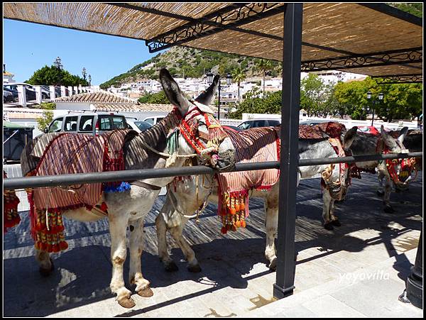 西班牙 米哈斯 Mijas, Spain 