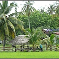 馬來西亞 蘭卡威 鄉村景色 Langkawi, Malaysia 