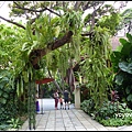 泰國 曼谷 吉姆湯普森之家 Jim Thompson House, Bangkok, Thailand