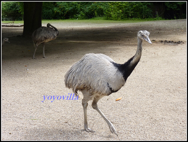 德國 漢堡 哈根貝克動物園 Tierpark Hagenbeck, Hamburg, Deutschland