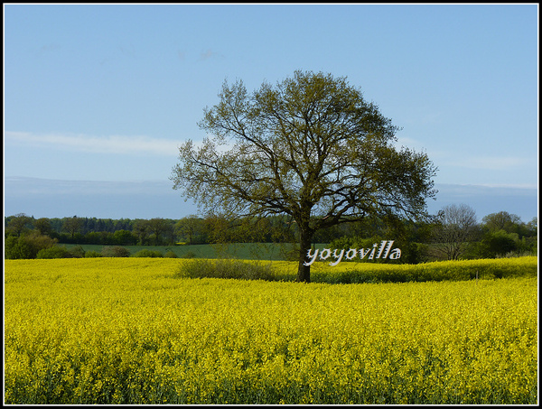 Eutin, Germany 德國 奧伊廷 
