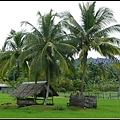 馬來西亞 蘭卡威 鄉村景色 Langkawi, Malaysia 