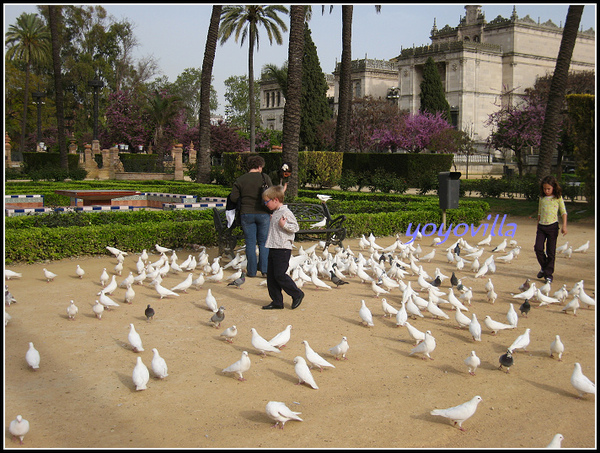 西班牙 賽維利亞 西班牙廣場 Plaza de Espana, Sevilla, Spain