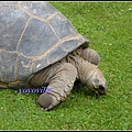 德國 漢堡 哈根貝克動物園 Tierpark Hagenbeck, Hamburg, Deutschland