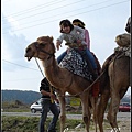 Manavgat, Turkey 土耳其南部小城