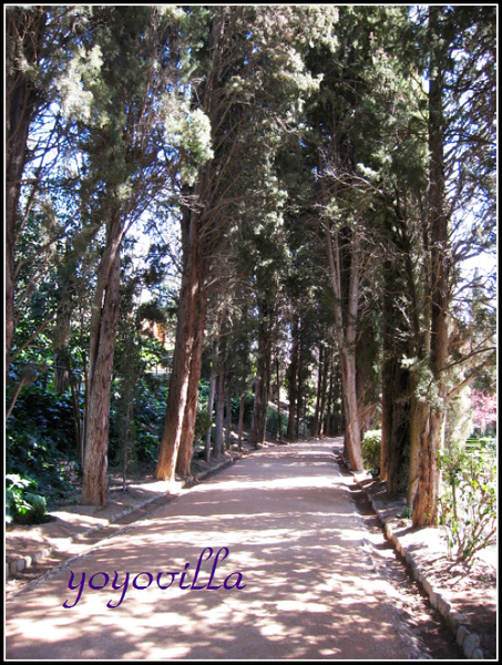 Alhambra, Granada 西班牙阿爾罕布拉宮 花園篇