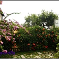 Sirmione, Lago di Garda 西米歐尼 義大利