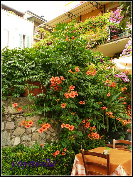 Sirmione, Lago di Garda 西米歐尼 義大利