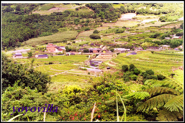 Taiwan 陽明山 