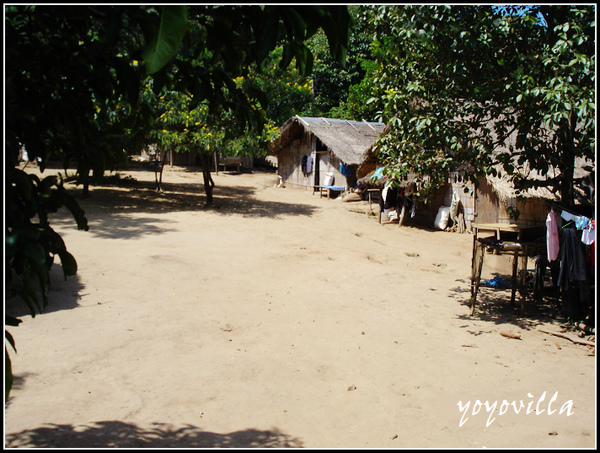 chiangMai 泰國清邁 大象訓練學校