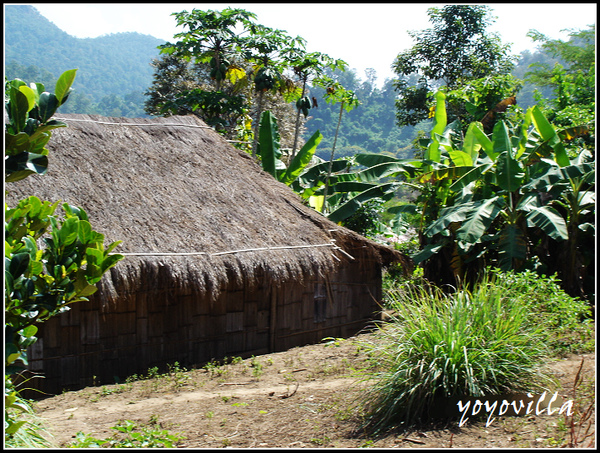 chiangMai 泰國清邁 大象訓練學校