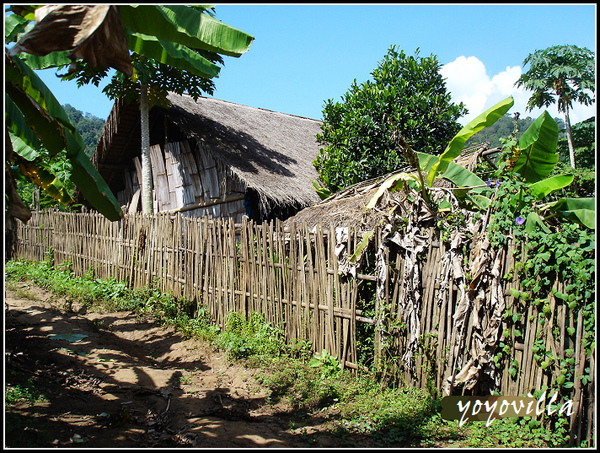 chiangMai 泰國清邁 大象訓練學校