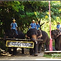 chiangMai 泰國清邁 大象訓練學校