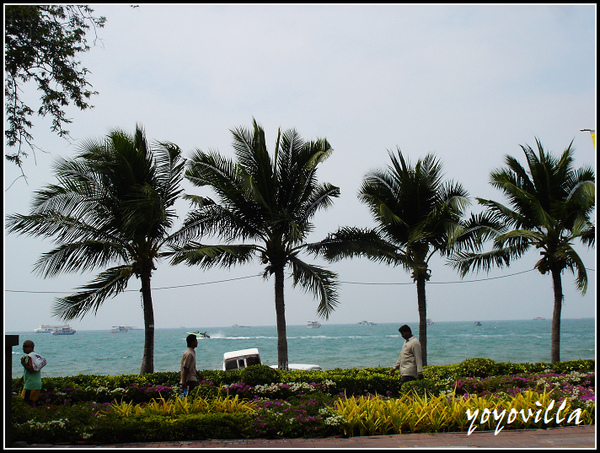 Pattaya  泰國葩達雅