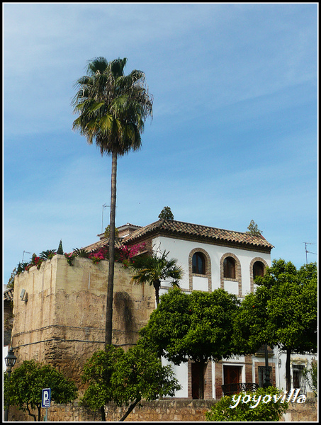 Cordoba 科爾多瓦/哥多華 Spain