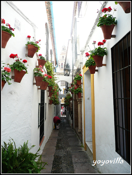 Cordoba 科爾多瓦/哥多華 Spain