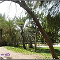 Jumeirah Beach, Dubai  杜拜的海水浴場