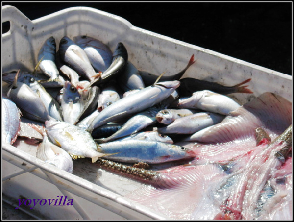 Cala Del Moral , Spain 西班牙小魚村